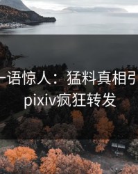 神秘人一语惊人：猛料真相引发揭秘，pixiv疯狂转发