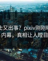业内人士又出事？pixiv刚刚曝出八卦内幕，真相让人瞠目