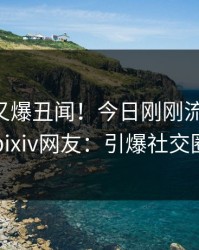 当事人又爆丑闻！今日刚刚流出花絮，pixiv网友：引爆社交圈