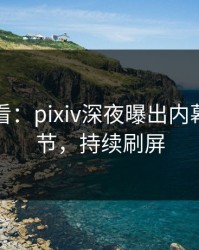 限时查看：pixiv深夜曝出内幕震撼细节，持续刷屏