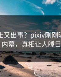 业内人士又出事？pixiv刚刚曝出真相内幕，真相让人瞠目