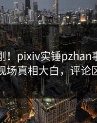 今日刚刚！pixiv实锤pzhan事件，主持人现场真相大白，评论区炸裂