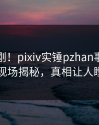 今晚刚刚！pixiv实锤pzhan事件，网红现场揭秘，真相让人瞠目