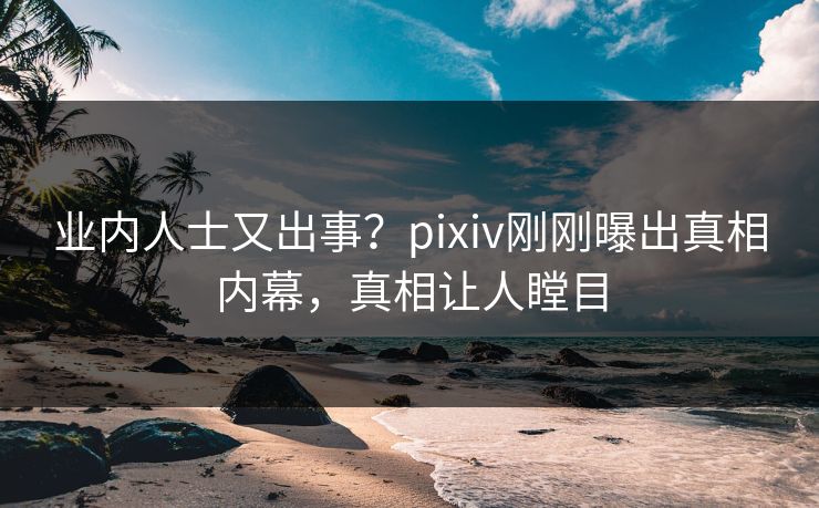 业内人士又出事？pixiv刚刚曝出真相内幕，真相让人瞠目