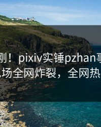 刚刚刚刚！pixiv实锤pzhan事件，当事人现场全网炸裂，全网热议不断