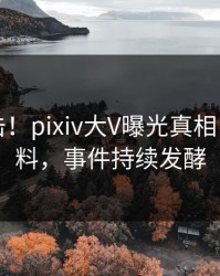 刚刚直击！pixiv大V曝光真相，出乎意料，事件持续发酵