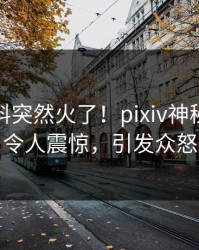 深夜猛料突然火了！pixiv神秘人居然令人震惊，引发众怒