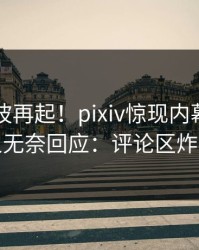 昨晚风波再起！pixiv惊现内幕，圈内人无奈回应：评论区炸裂