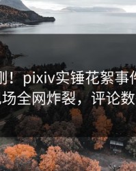 今日刚刚！pixiv实锤花絮事件，神秘人现场全网炸裂，评论数破万