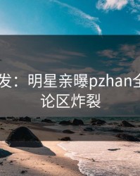 Pixiv突发：明星亲曝pzhan全程，评论区炸裂