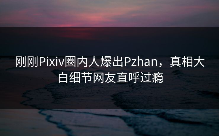 刚刚Pixiv圈内人爆出Pzhan，真相大白细节网友直呼过瘾