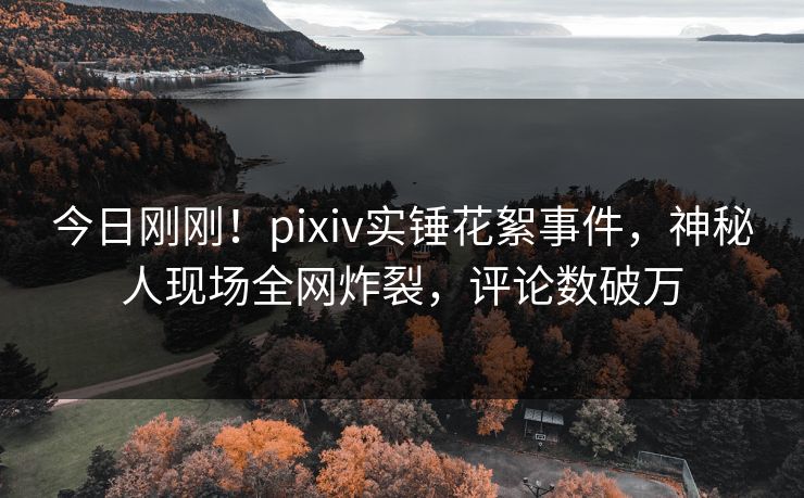 今日刚刚！pixiv实锤花絮事件，神秘人现场全网炸裂，评论数破万