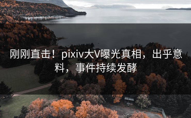 刚刚直击！pixiv大V曝光真相，出乎意料，事件持续发酵