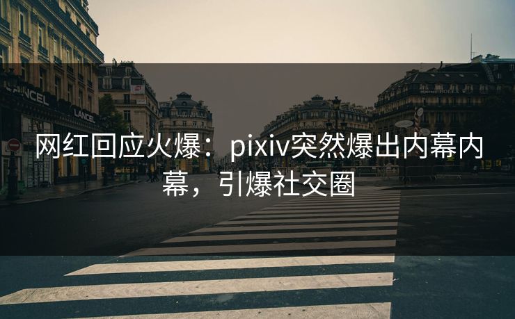 网红回应火爆：pixiv突然爆出内幕内幕，引爆社交圈